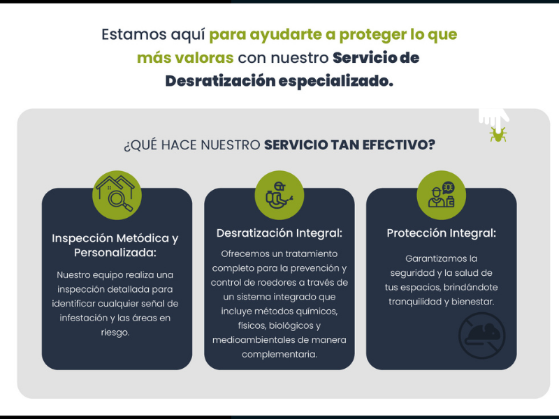 5 señales de que tienes un problema de roedores aunque nunca hayas visto uno - PLAGASUR® | Control de Plagas en Puerto Varas