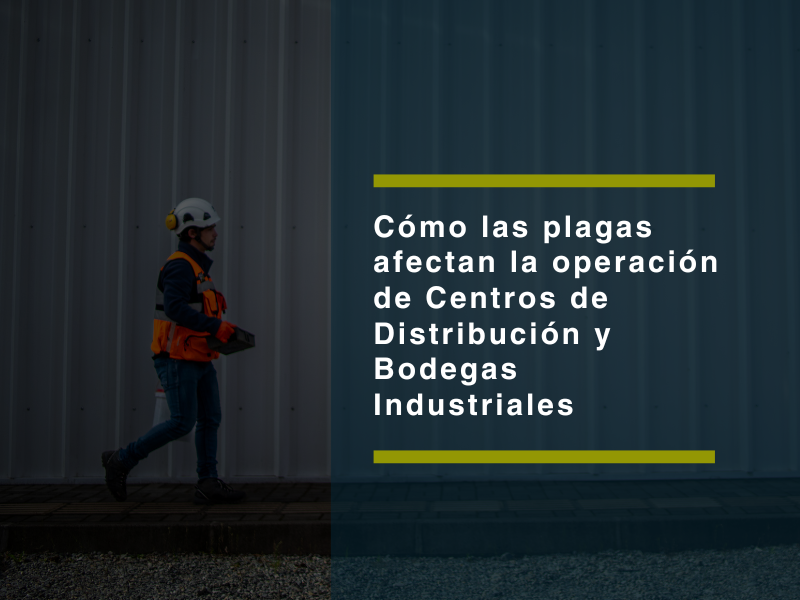 Cómo las plagas afectan la operación de centros de distribución y bodegas industriales - PLAGASUR® | Control de Plagas en Puerto Varas