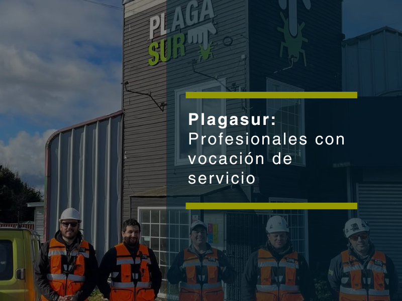 Conoce al equipo Plagasur: más que expertos en control de plagas, guardianes de tu tranquilidad - PLAGASUR® | Control de Plagas en Puerto Varas