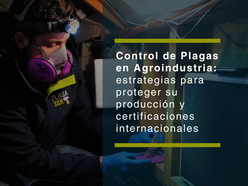 Control de plagas en agroindustria: estrategias para proteger su producción y certificaciones internacionales - PLAGASUR® | Control de Plagas en Puerto Varas