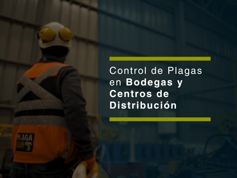 Control de plagas en bodegas y centros de distribución: prevención, seguridad y ahorro en pérdidas - PLAGASUR® | Control de Plagas en Puerto Varas