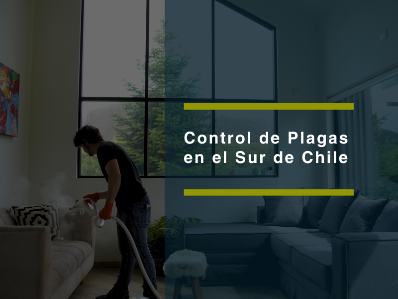 Control de Plagas en el Sur de Chile | Plagasur - PLAGASUR® | Control de Plagas en Puerto Varas