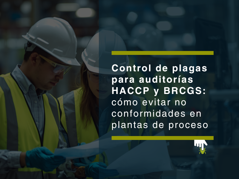 Control de plagas para auditorías HACCP y BRCGS: cómo evitar no conformidades en plantas de proceso - PLAGASUR® | Control de Plagas en Valdivia
