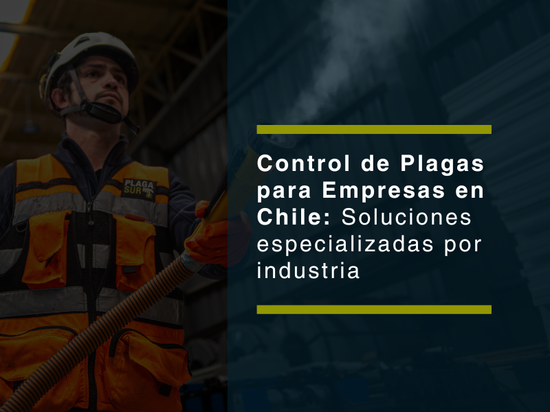 Control de Plagas para Empresas en Chile: Soluciones Especializadas por Industria - PLAGASUR® | Control de Plagas en Puerto Varas