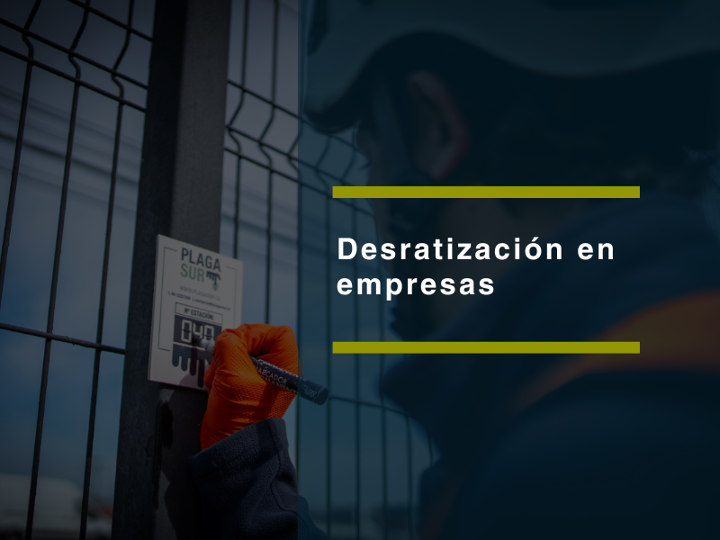 Desratización profesional para empresas: cómo cumplir con la normativa y evitar riesgos sanitarios - PLAGASUR® | Control de Plagas en Puerto Varas