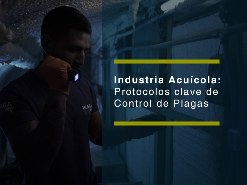 Industria Acuícola: protocolos clave de control de plagas para cumplir normativas y proteger su producción - PLAGASUR® | Control de Plagas en Puerto Varas