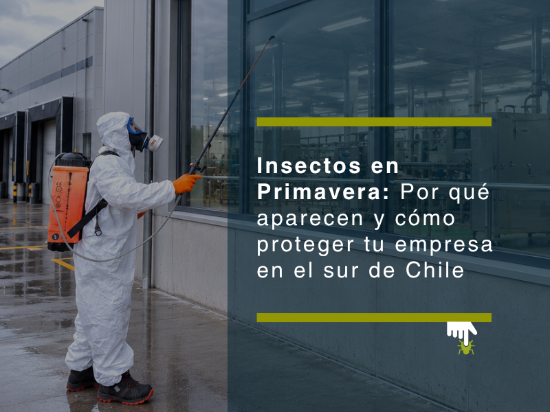 Insectos en Primavera: Por qué aparecen y cómo proteger tu empresa en el sur de Chile - PLAGASUR® | Control de Plagas en Puerto Varas