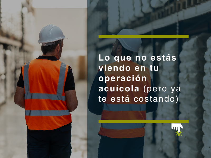 Lo que no estás viendo en tu operación acuícola (pero ya te está costando) - PLAGASUR® | Control de Plagas en Puerto Montt
