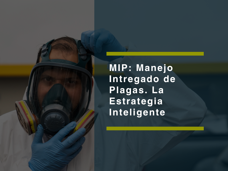 Manejo Integrado de Plagas (MIP): La Estrategia Inteligente para Empresas y Hogares en el Sur de Chile - PLAGASUR® | Control de Plagas en Puerto Varas