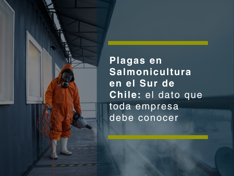 Plagas en salmonicultura en el sur de Chile: el dato que toda empresa debe conocer Plagas en salmonicultura en el sur de Chile: el dato que toda empresa debe conocer - PLAGASUR® | Control de Plagas en Puerto Varas