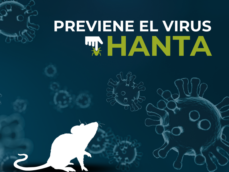 Previene el Virus Hanta - PLAGASUR® | Control de Plagas en Puerto Varas