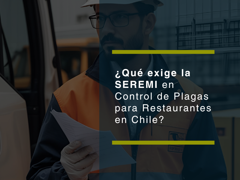 ¿Qué exige la SEREMI en control de plagas para restaurantes en Chile? - PLAGASUR® | Control de Plagas en Puerto Varas