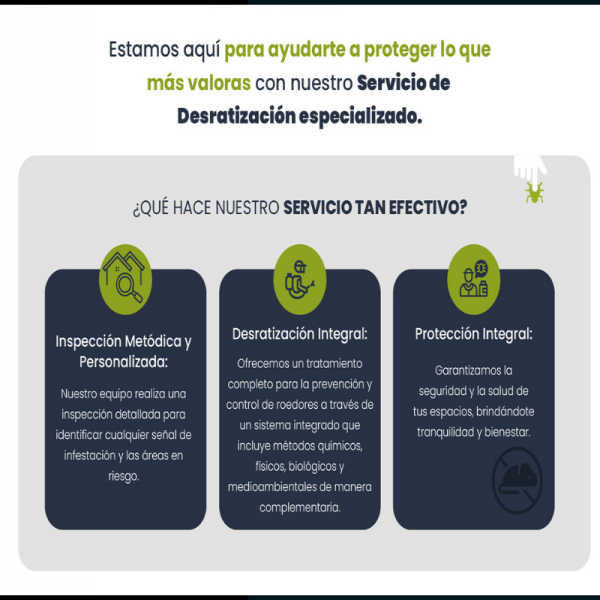 5 señales de que tienes un problema de roedores aunque nunca hayas visto uno - PLAGASUR® | Control de Plagas en Puerto Varas
