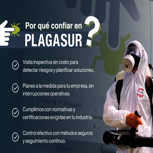 Lo que una inspección puede detectar antes de que aparezca una plaga - PLAGASUR® | Control de Plagas en Puerto Varas