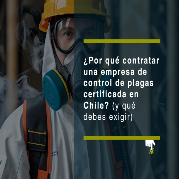 ¿Por qué contratar una empresa de control de plagas certificada en Chile? (y qué debes exigir) - PLAGASUR® | Control de Plagas en Puerto Montt