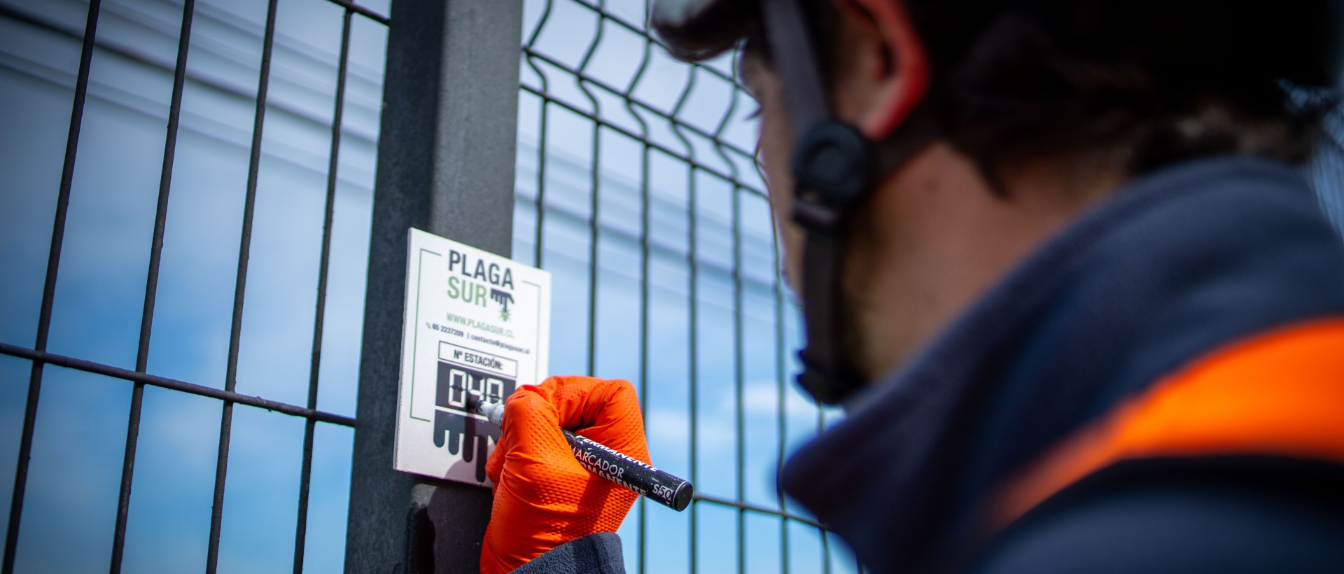 DESRATIZACIÓN | PLAGASUR® | Control de Plagas en Puerto Varas PLAGASUR® | Control de Plagas en Puerto Varas | DESRATIZACIÓN