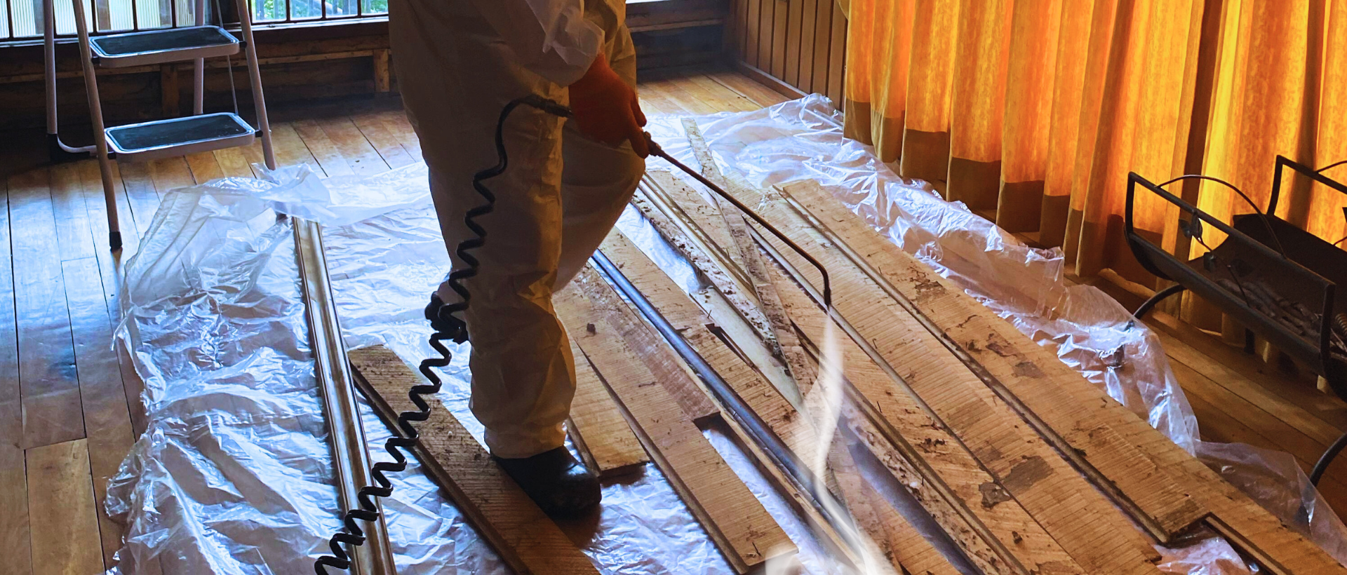 TRATAMIENTO INSECTOS XILÓFAGOS | PLAGASUR® | Control de Plagas en Puerto Varas PLAGASUR® | Control de Plagas en Puerto Varas | TRATAMIENTO INSECTOS XILÓFAGOS